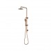 BadundKüche Sliding Multifunction Hand Shower With 250mm Overhead Rain Shower - Round