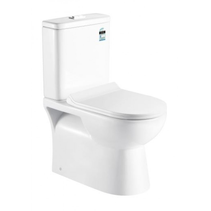 Cheapest Back to Wall  Rimless Toilet on the market !!! [Bottom Inlet]